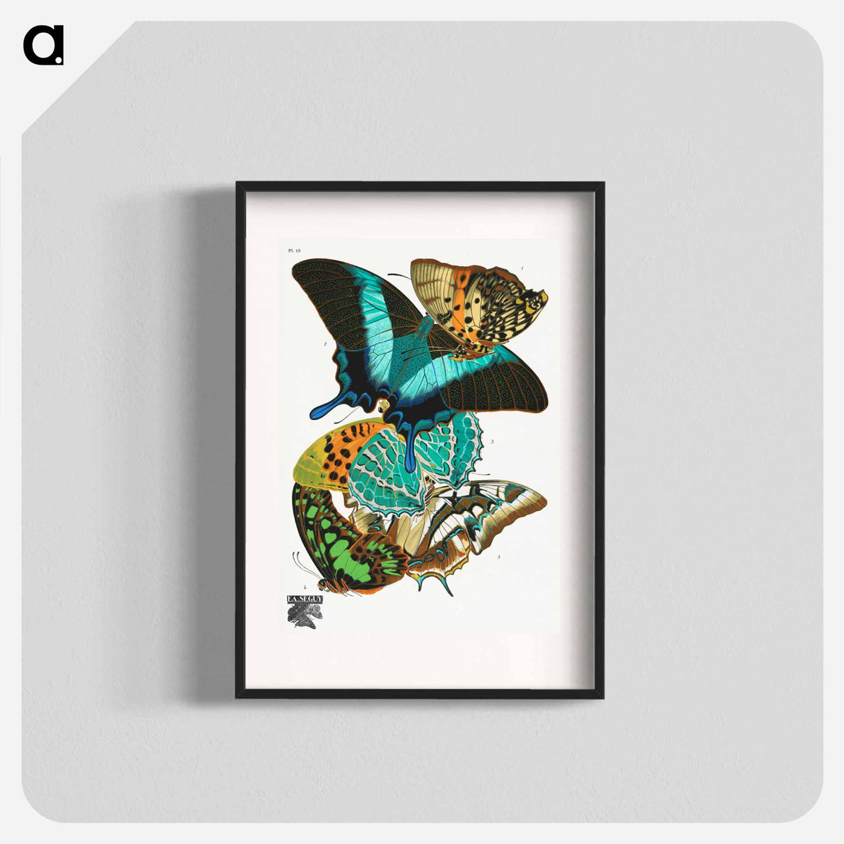E.A. Séguy's vintage butterflies - E.A.セギー Poster.