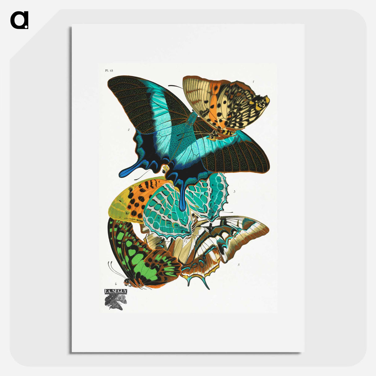 E.A. Séguy's vintage butterflies - E.A.セギー Poster.