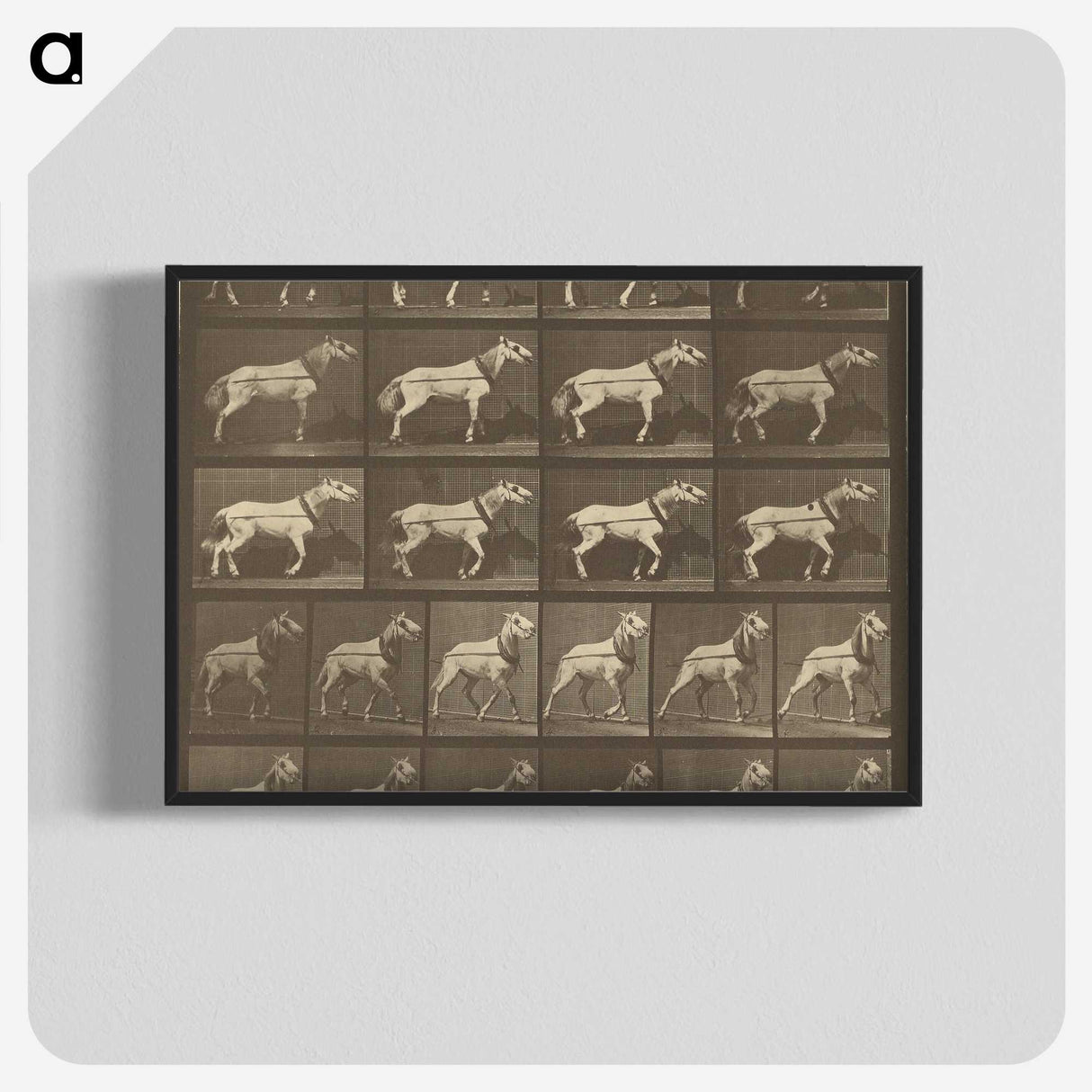 1-32_Eadweard-Muybridge_blk-crop