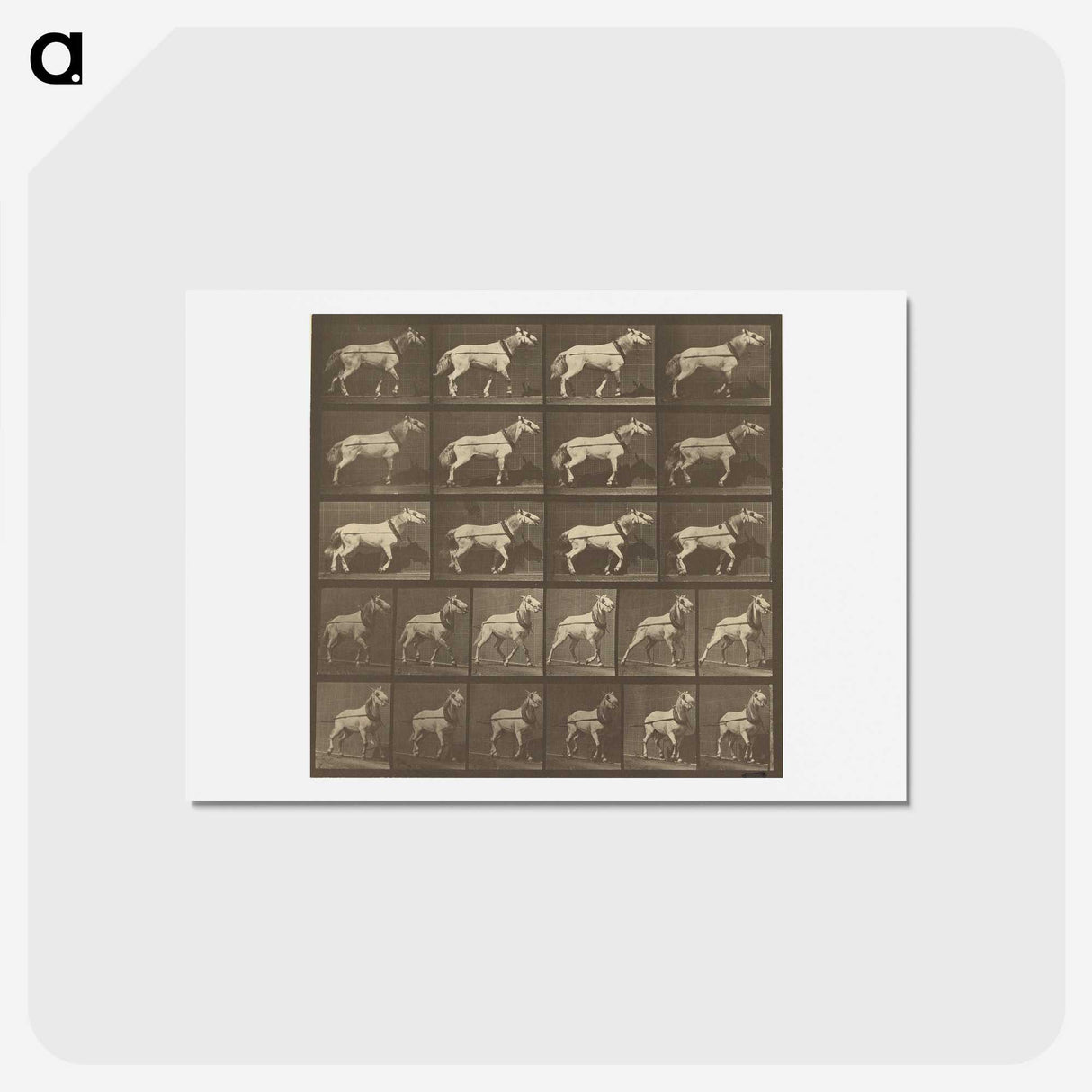 1-32_Eadweard-Muybridge_hagaki
