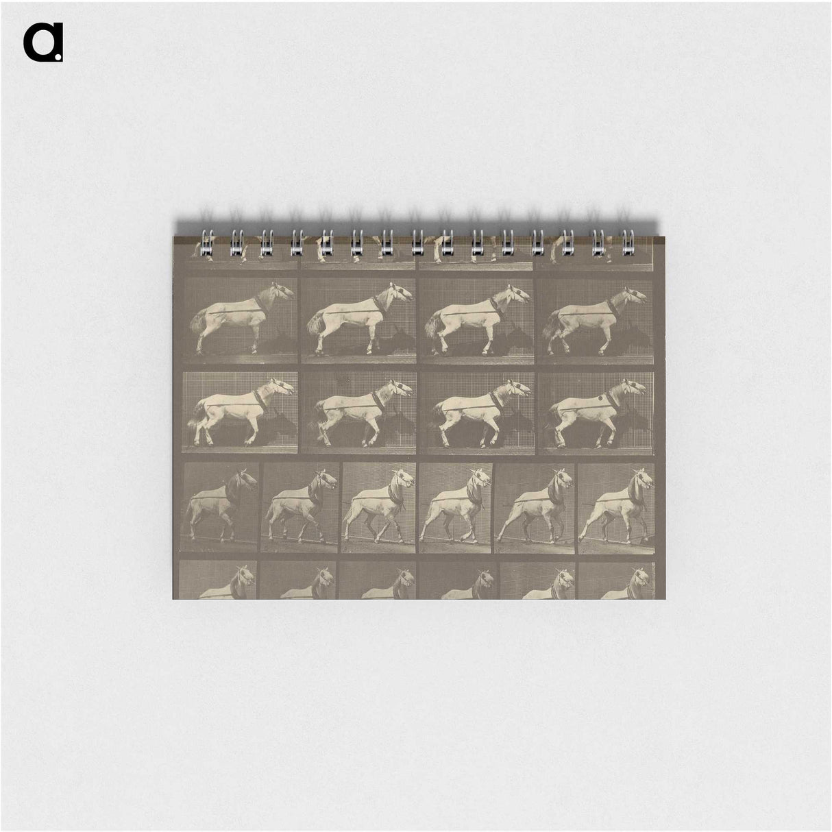 1-32_Eadweard-Muybridge_memo