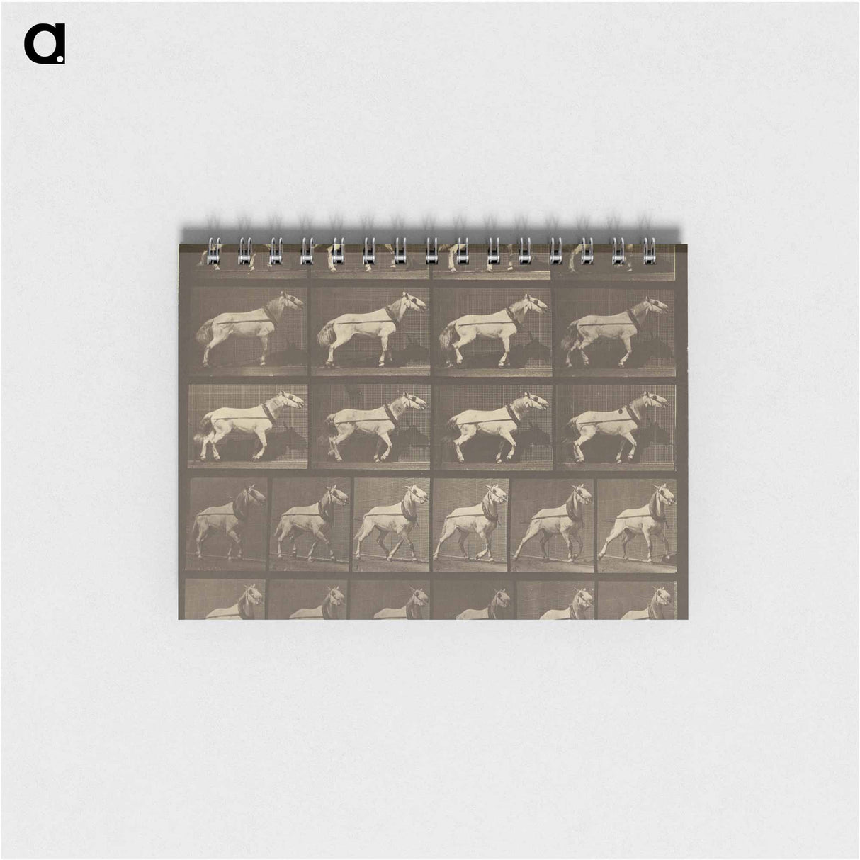 アートメモ帳-Animal Locomotion
- エドワード マイブリッジ Memo.