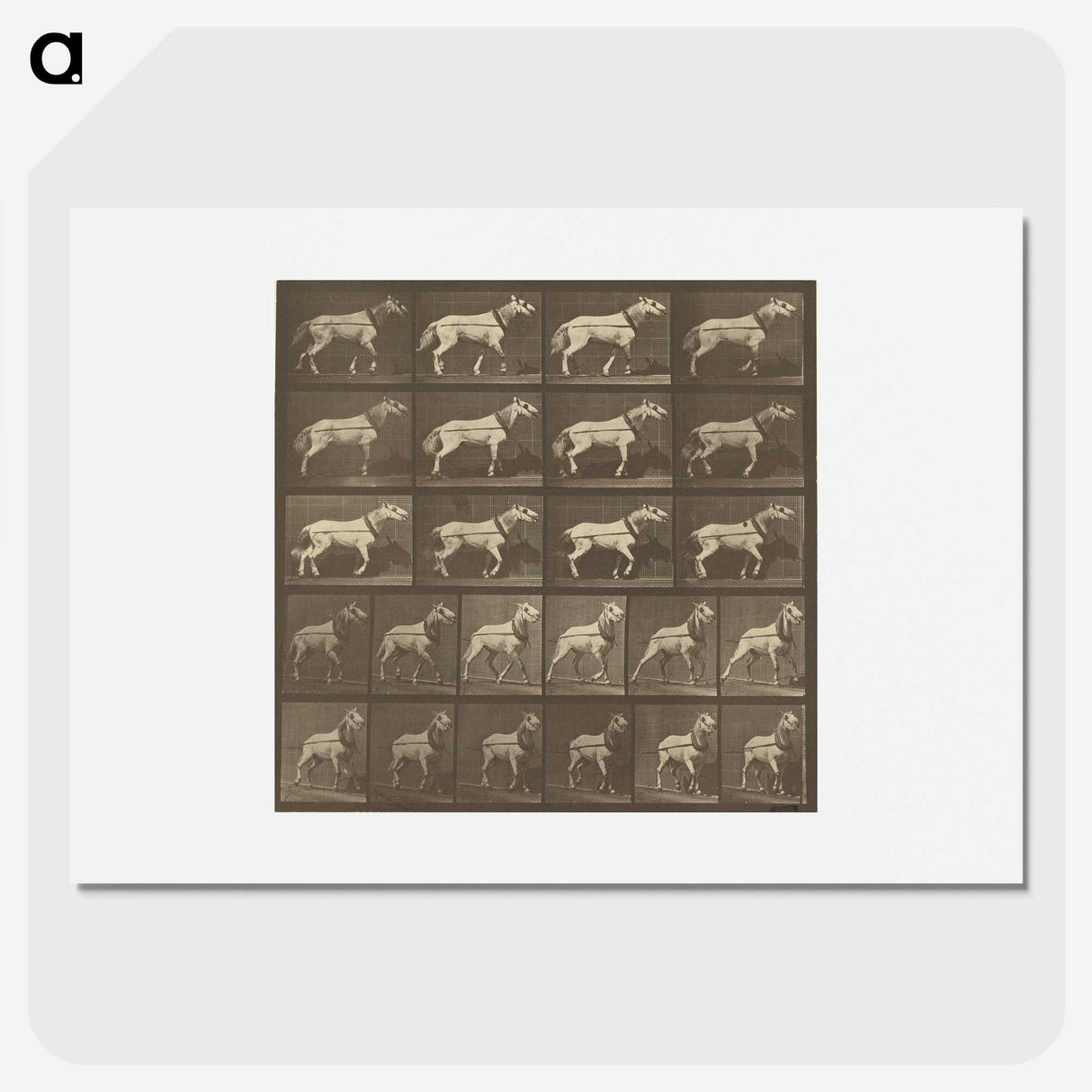1-32_Eadweard-Muybridge_picture