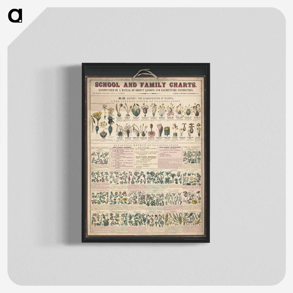 1-32_Education-Charts_blk-crop