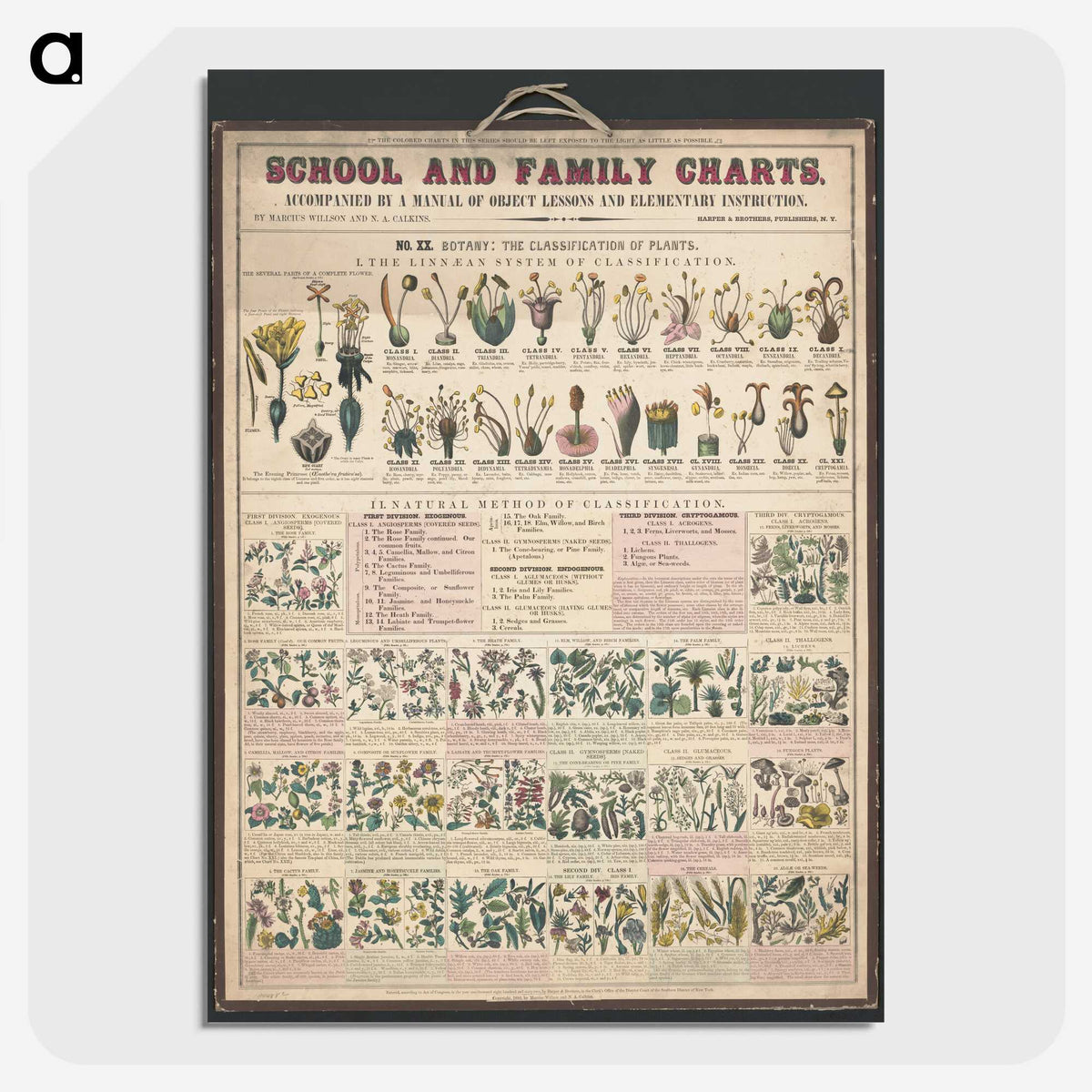 1-32_Education-Charts_picture-crop