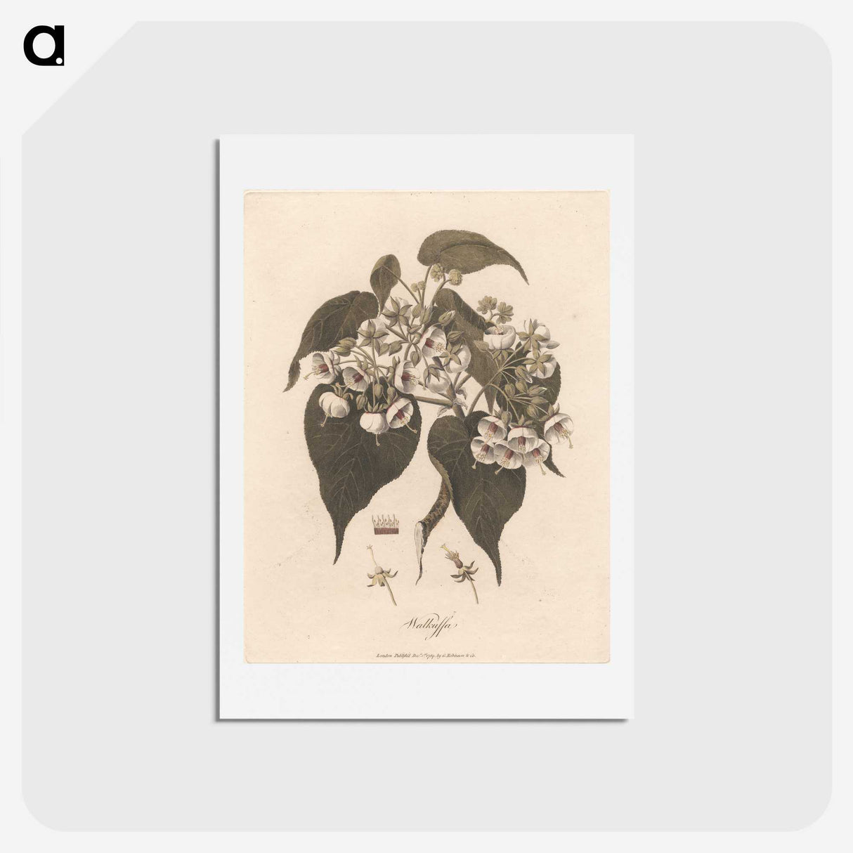 1-32_James-Heath_hagaki
