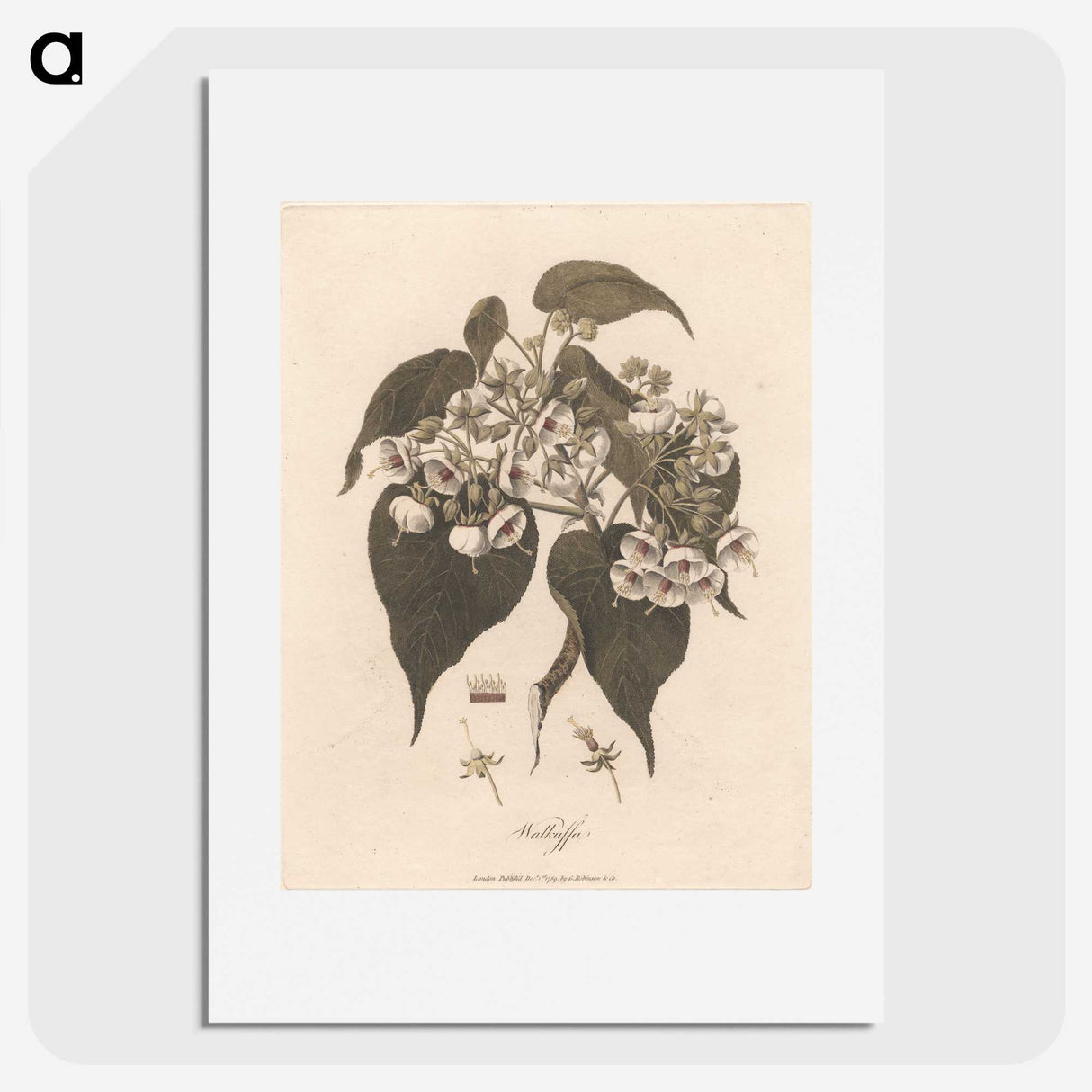 1-32_James-Heath_picture