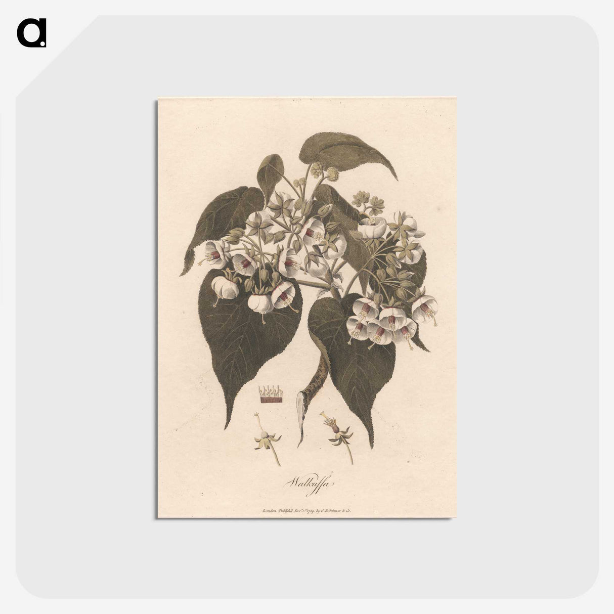 1-32_James-Heath_postcard