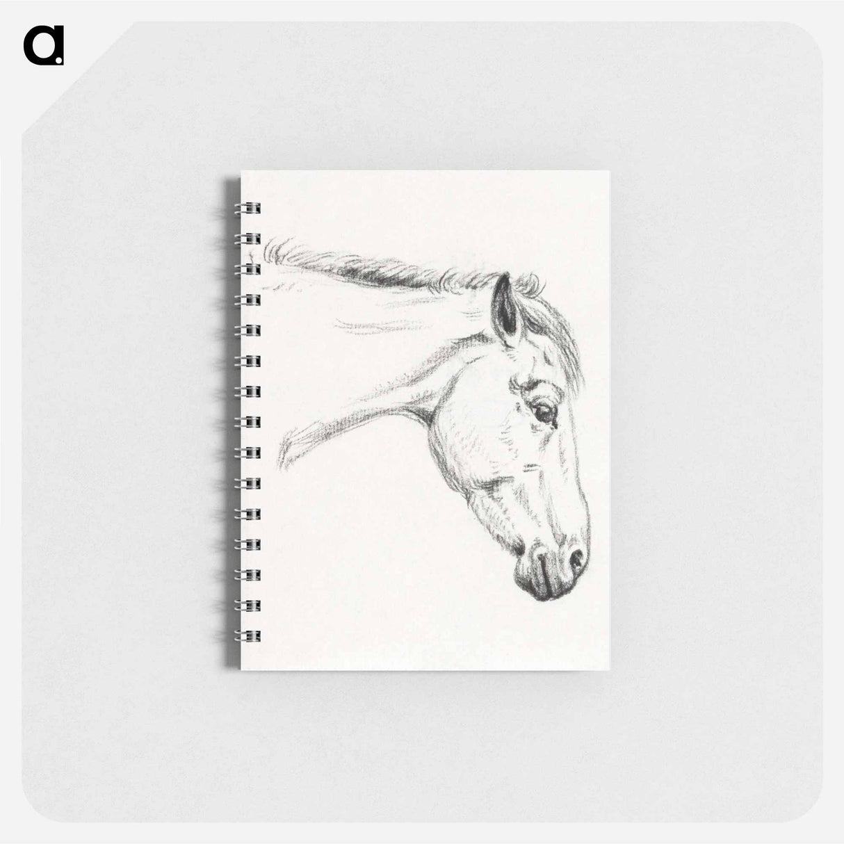 Head of a horse - ジャン ベルナール Memo.