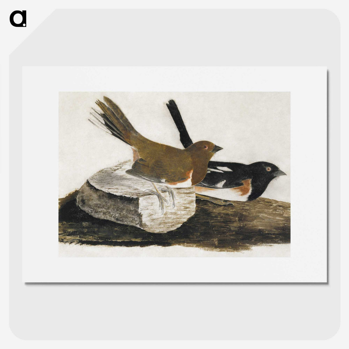 1-32_John-James-Audubon_picture