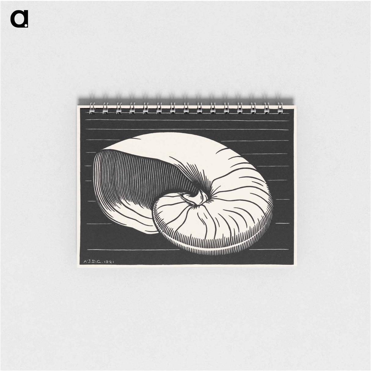 Shell - ユリー デ フラーハ Memo.