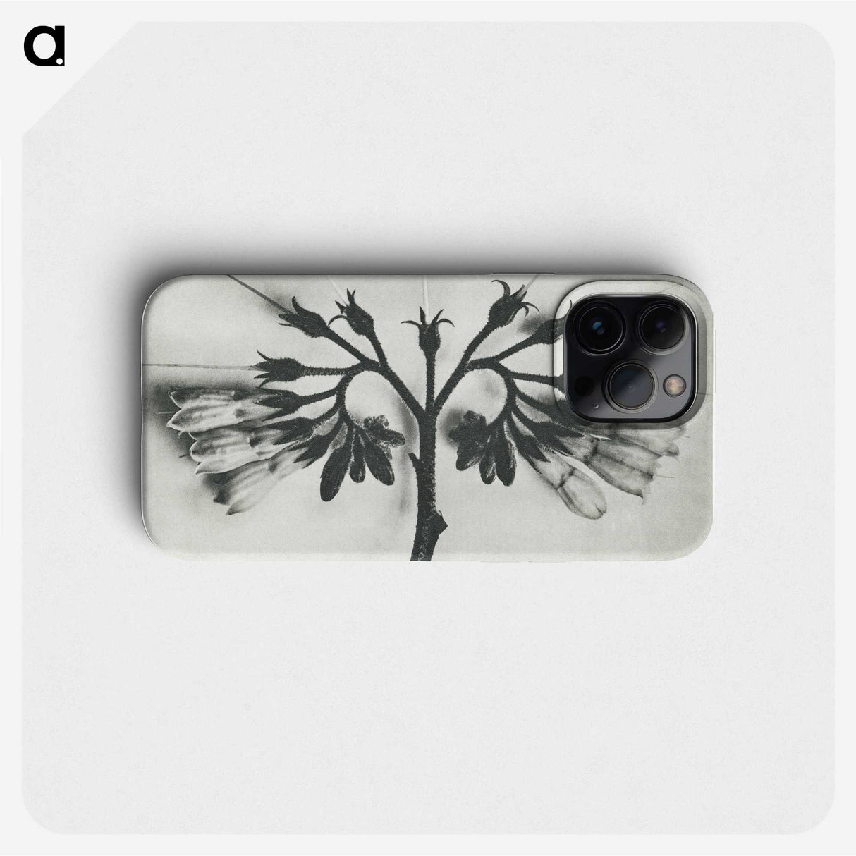 1-32_Karl-Blossfeldt_phone