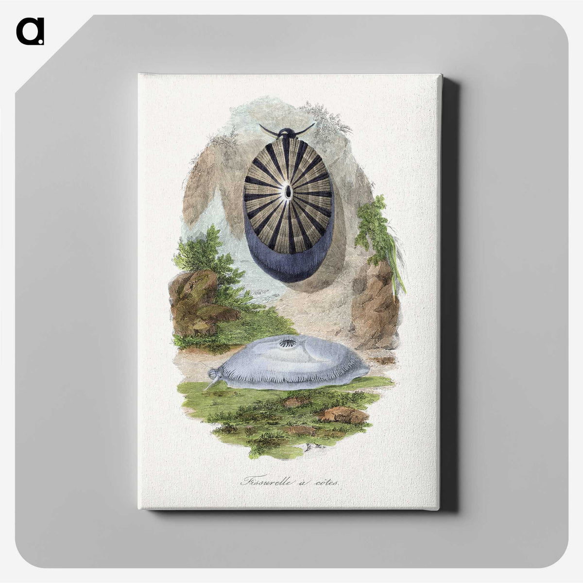 1-32_Le-Jardin-des-Plantes_canvas