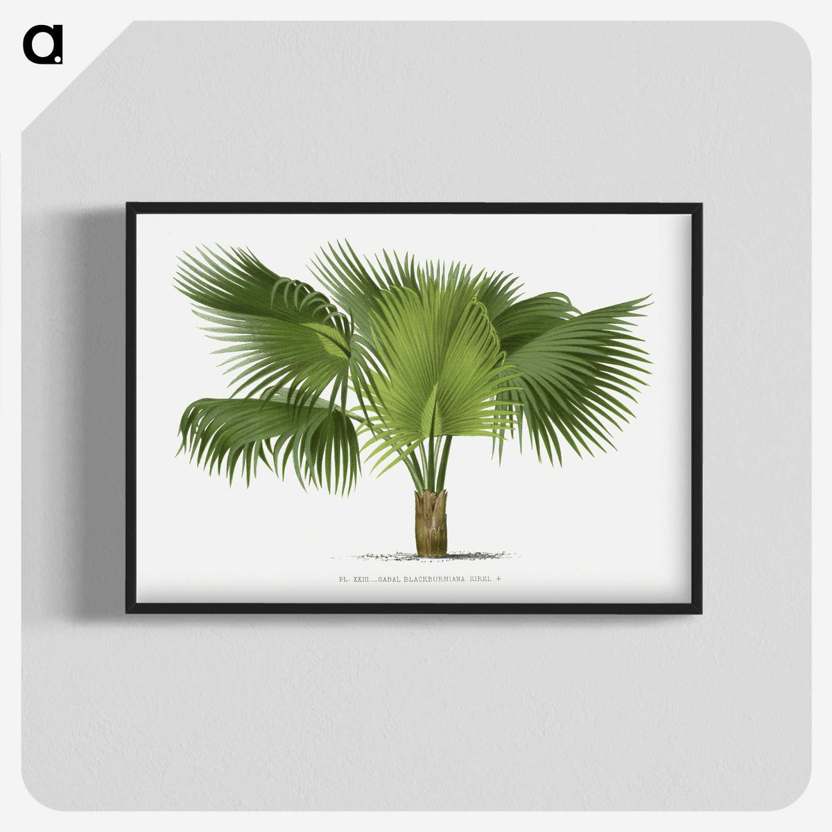 1-32_Les-Palmiers-Histoire-Iconographique_blk-crop