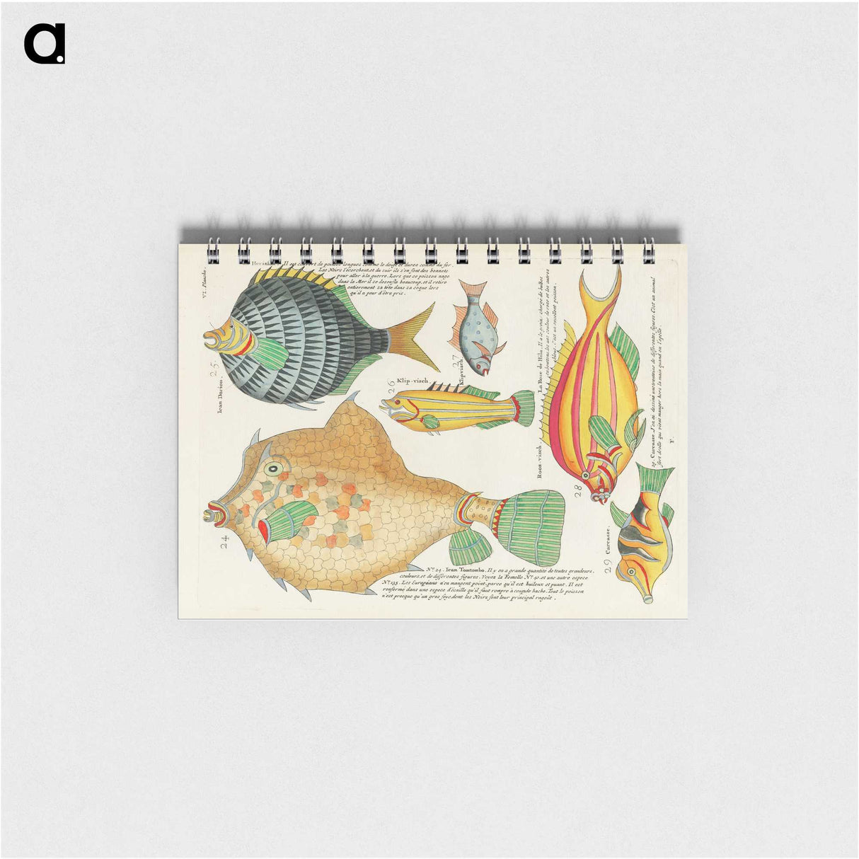 1-32_Louis-Renard_memo