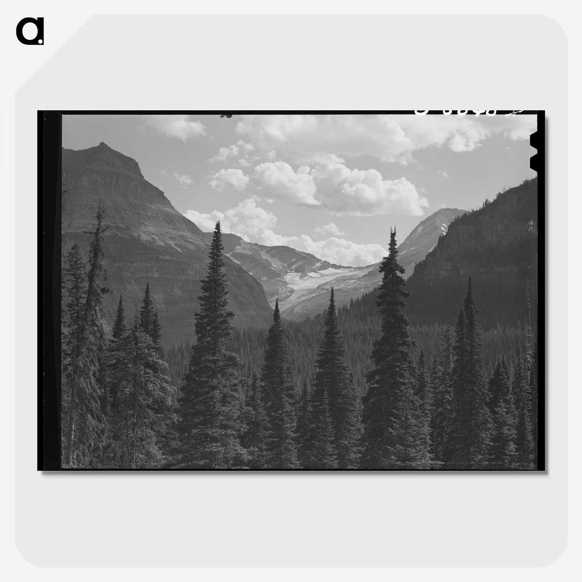 1-32_Marion-Post-Wolcott_picture-crop