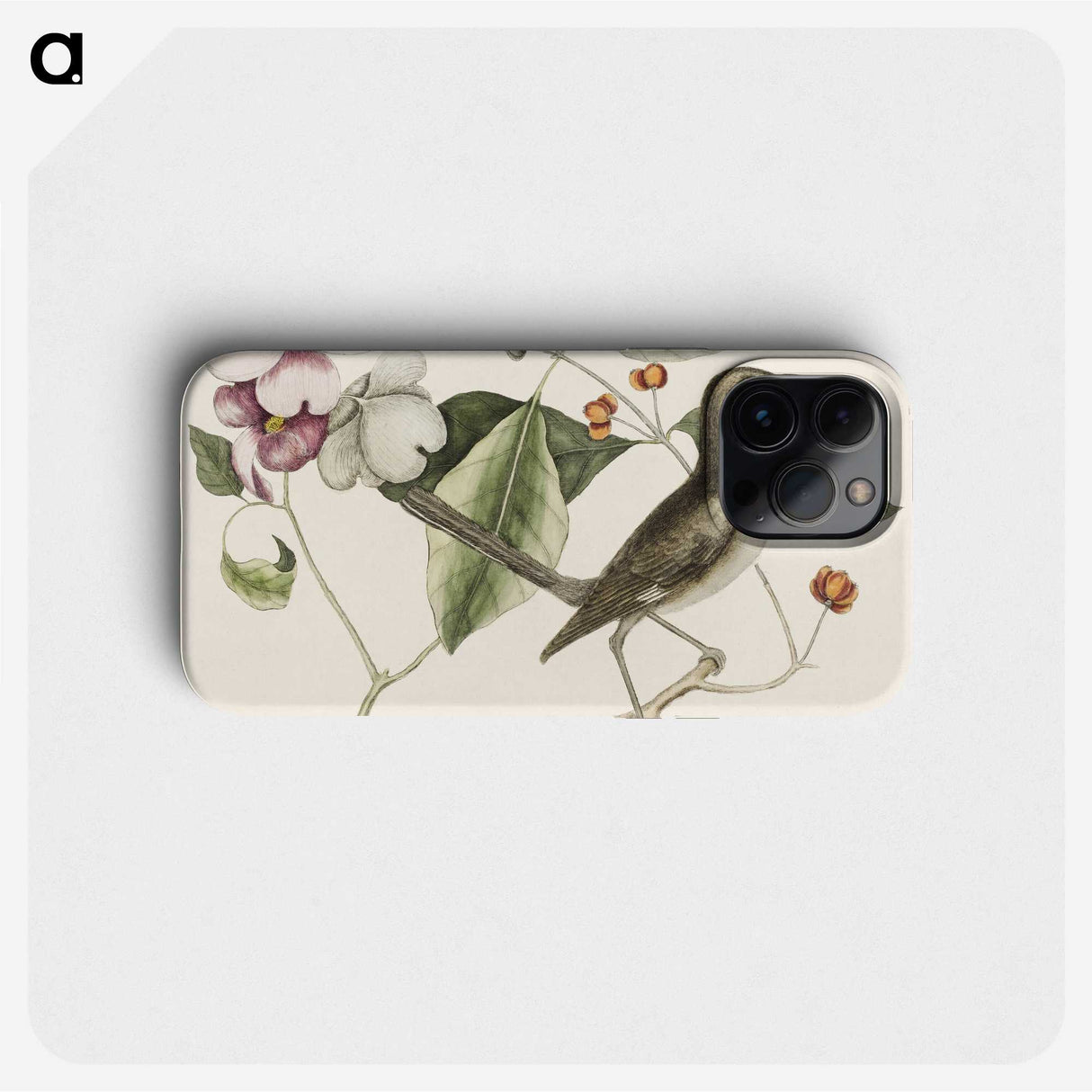 1-32_Mark-Catesby_phone