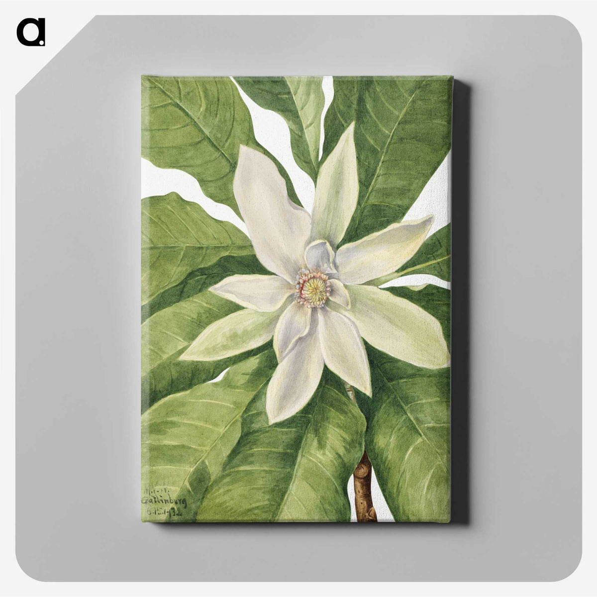1-32_Mary-Vaux-Walcott_canvas