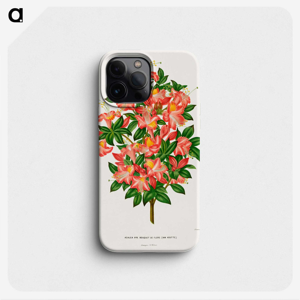 1-32_Nederlandsche-Flora-en-Pomona_phone