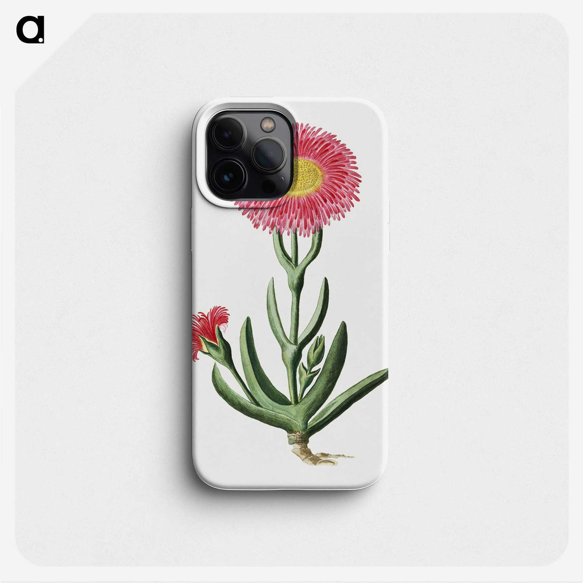 1-32_Robert-Jacob-Gordon_phone