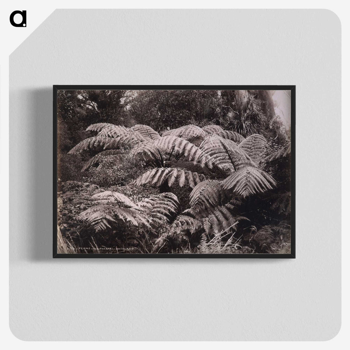 1-32_The-Burton-Brothers_blk-crop