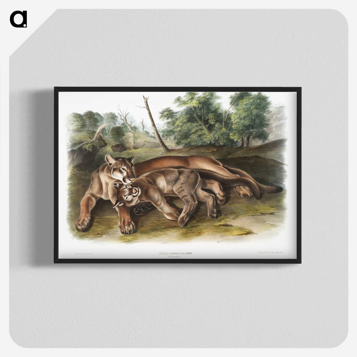 1-32_The-Viviparous-Quadrupeds_blk-crop