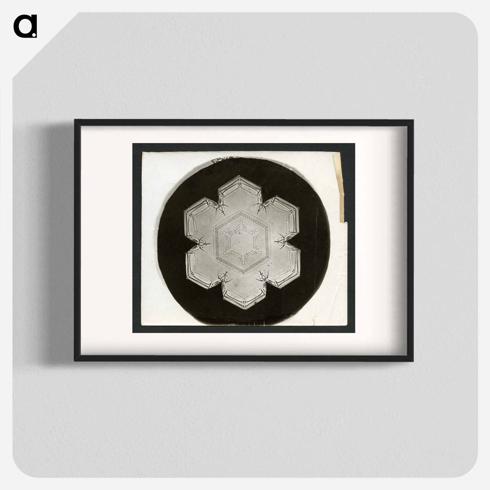 Wilson Bentley Photomicrograph of Stellar Snowflake No. 826 - ウィルソン ベントレー Poster.