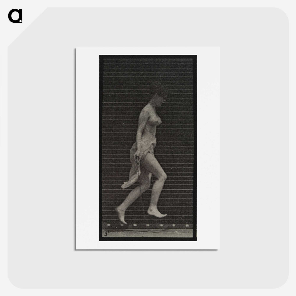 1-33_Eadweard-Muybridge_hagaki