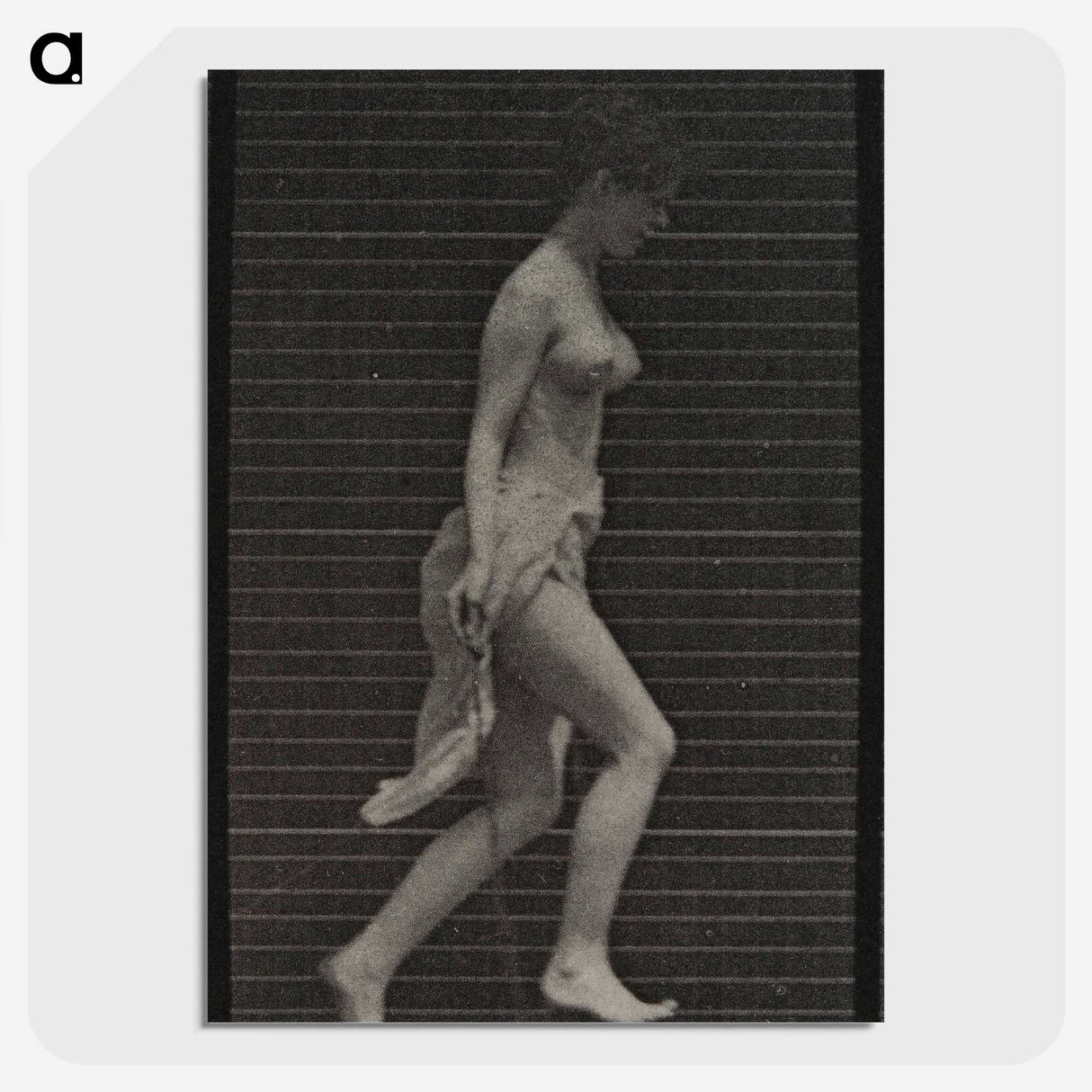 1-33_Eadweard-Muybridge_picture-crop