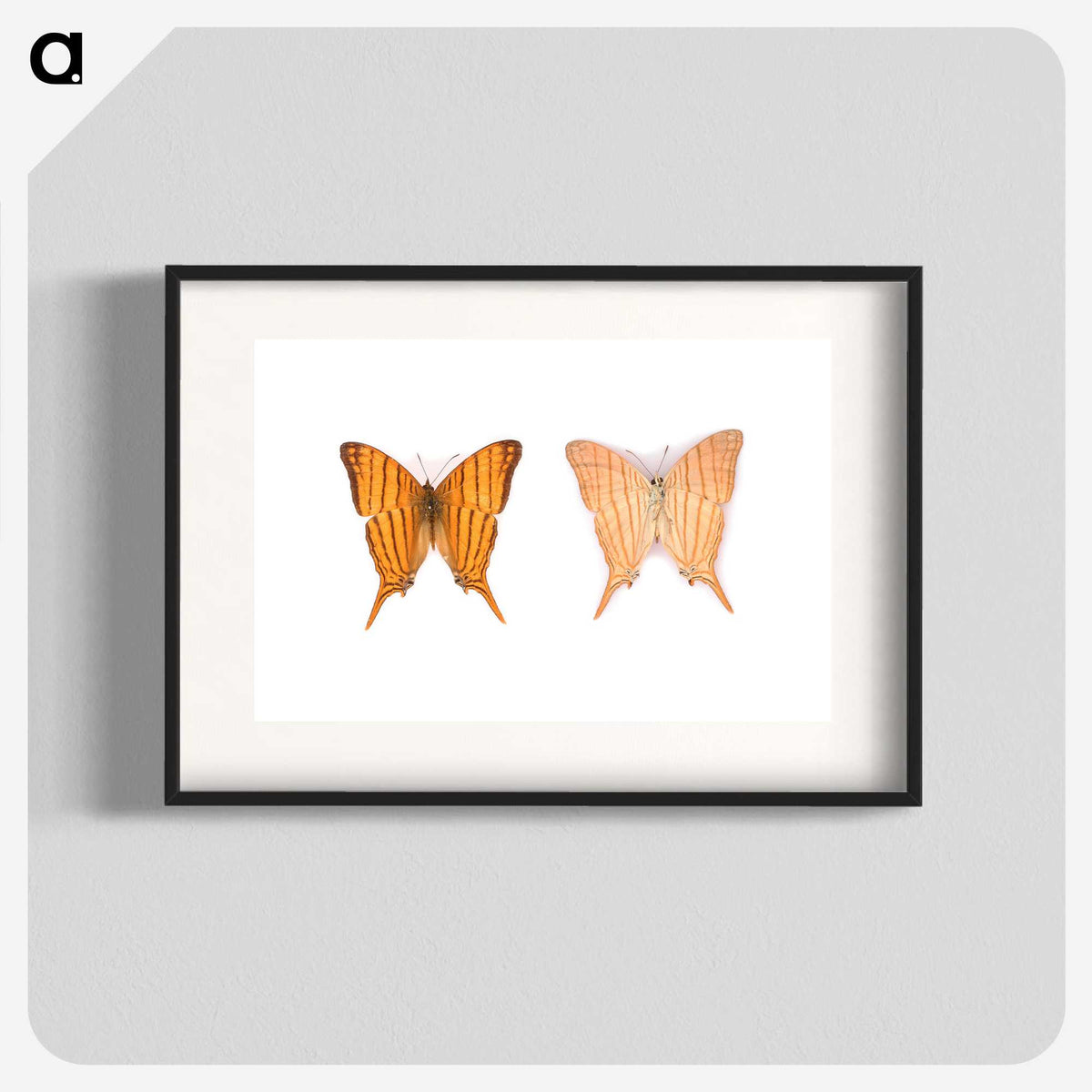 1-33_Insects-Unlocked-Project_blk