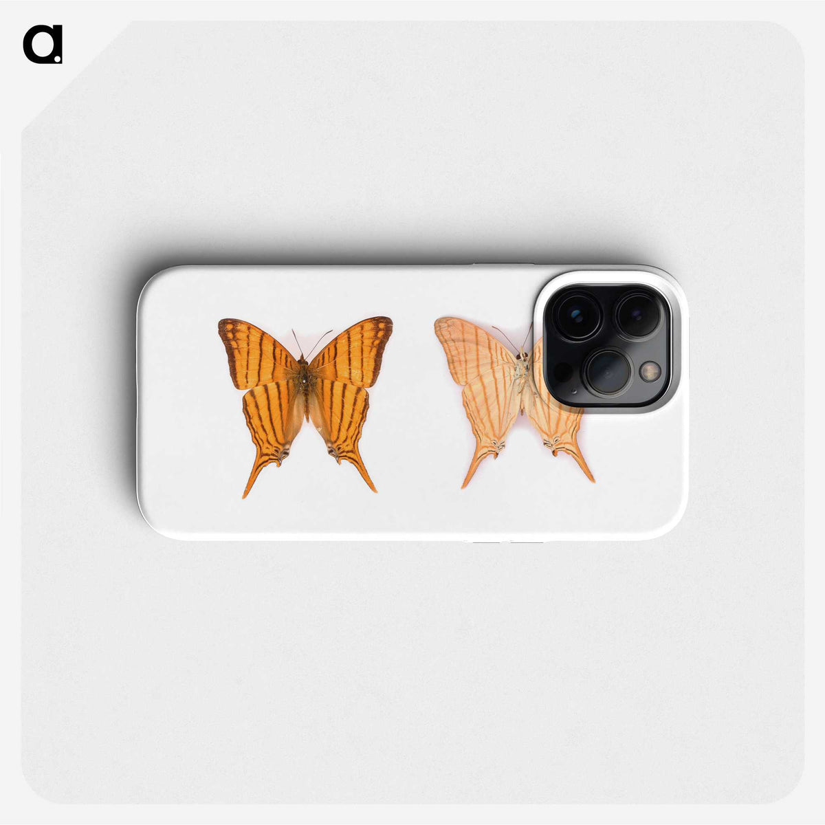 1-33_Insects-Unlocked-Project_phone