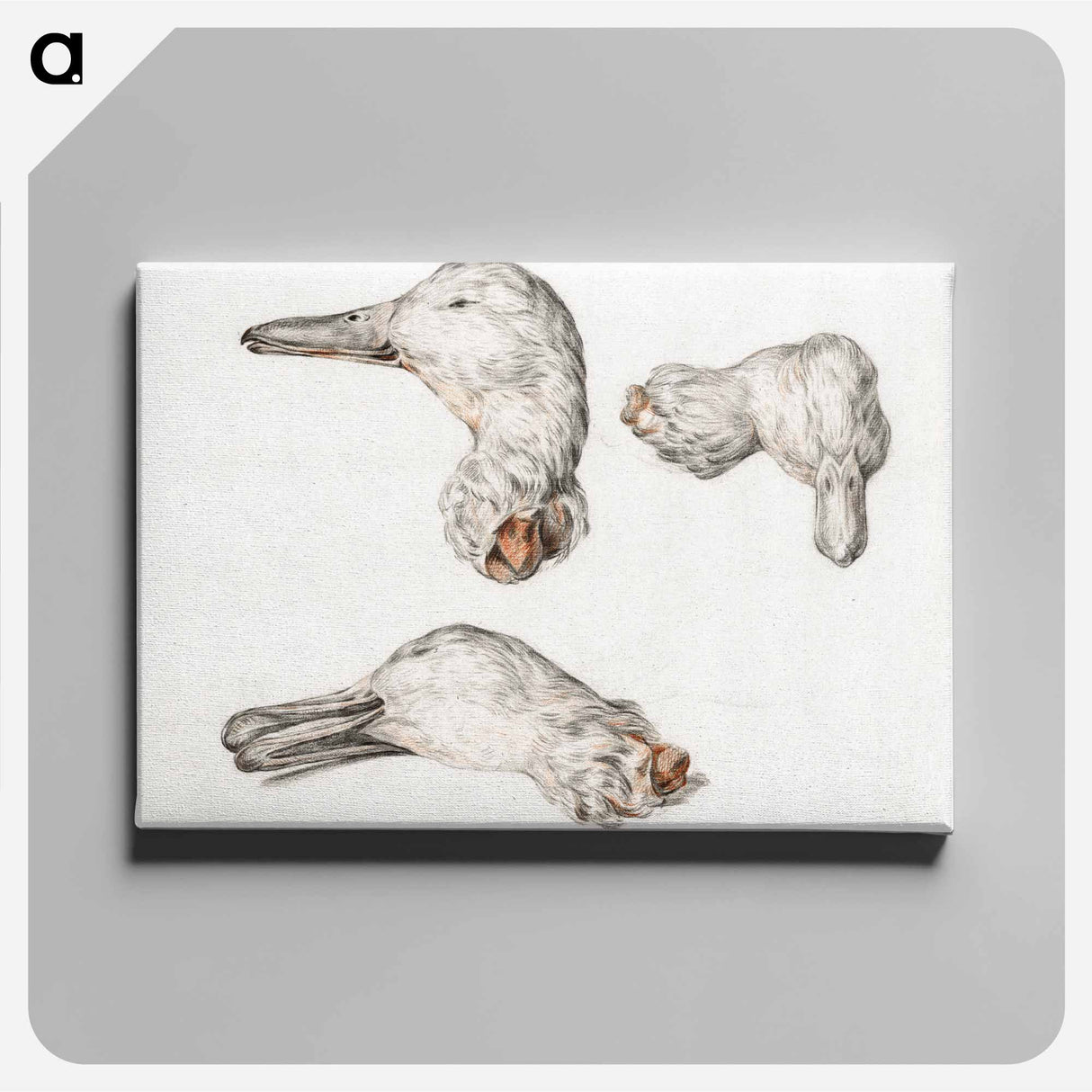 アートパネル-Severed head of ducks - ジャン ベルナール Canvas.