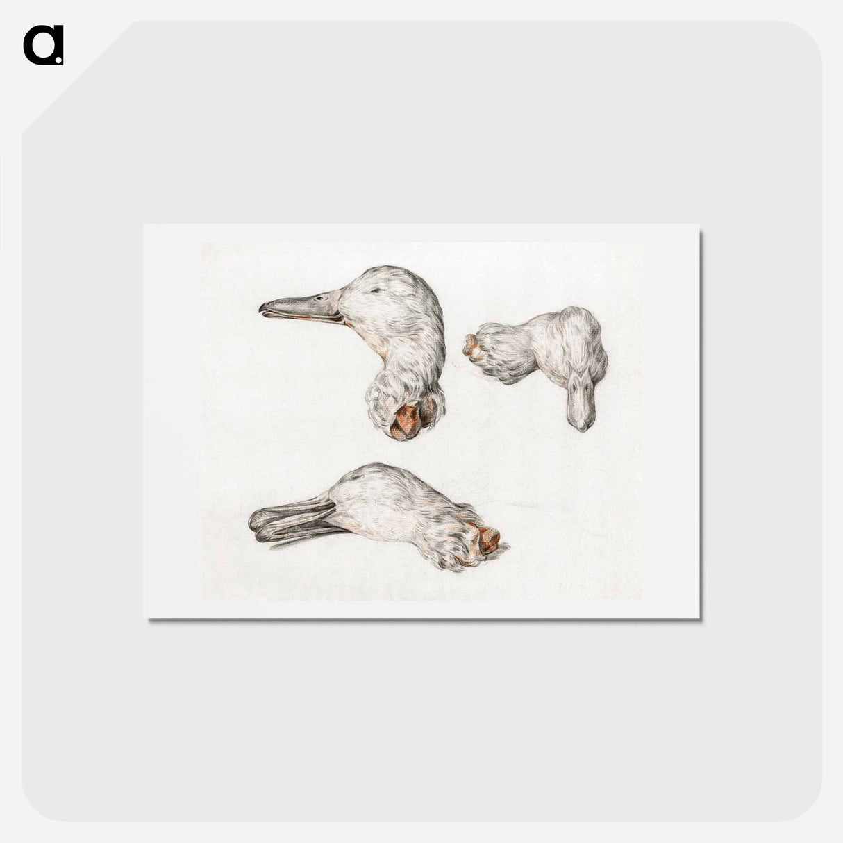 アートポストカード-Severed head of ducks - ジャン ベルナール Postcard.