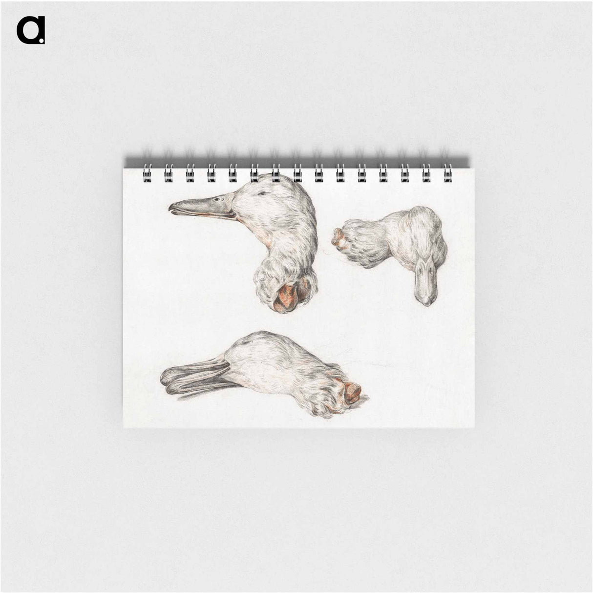 Severed head of ducks - ジャン ベルナール Memo.