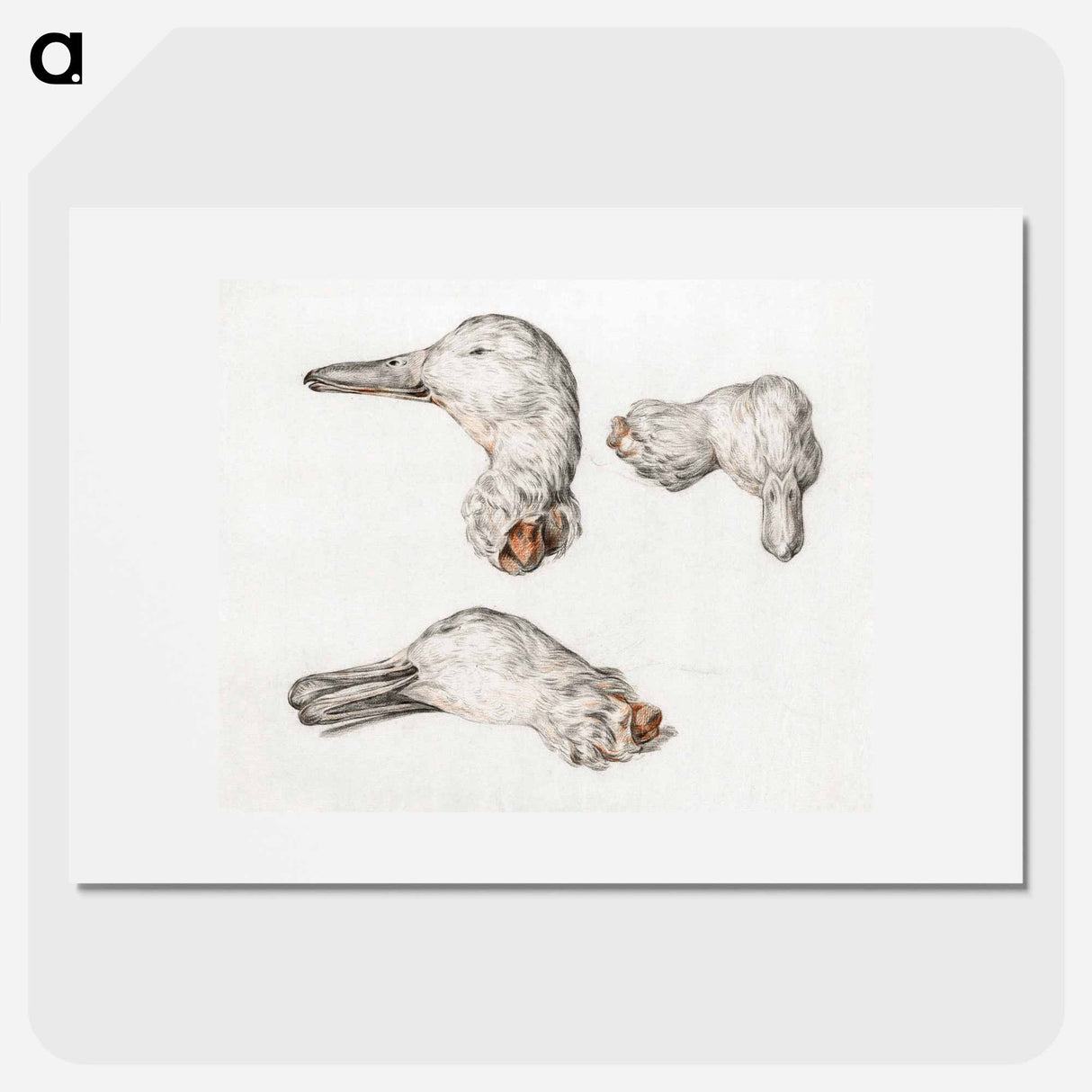 Severed head of ducks - ジャン ベルナール Poster.