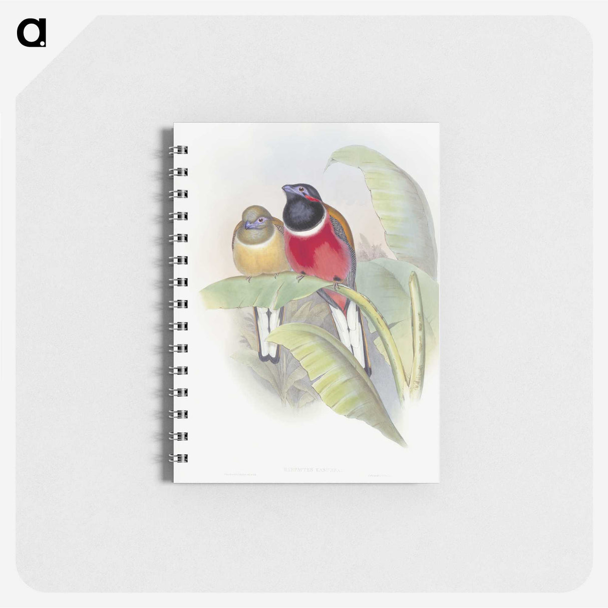 1-33_John-Gould_memo