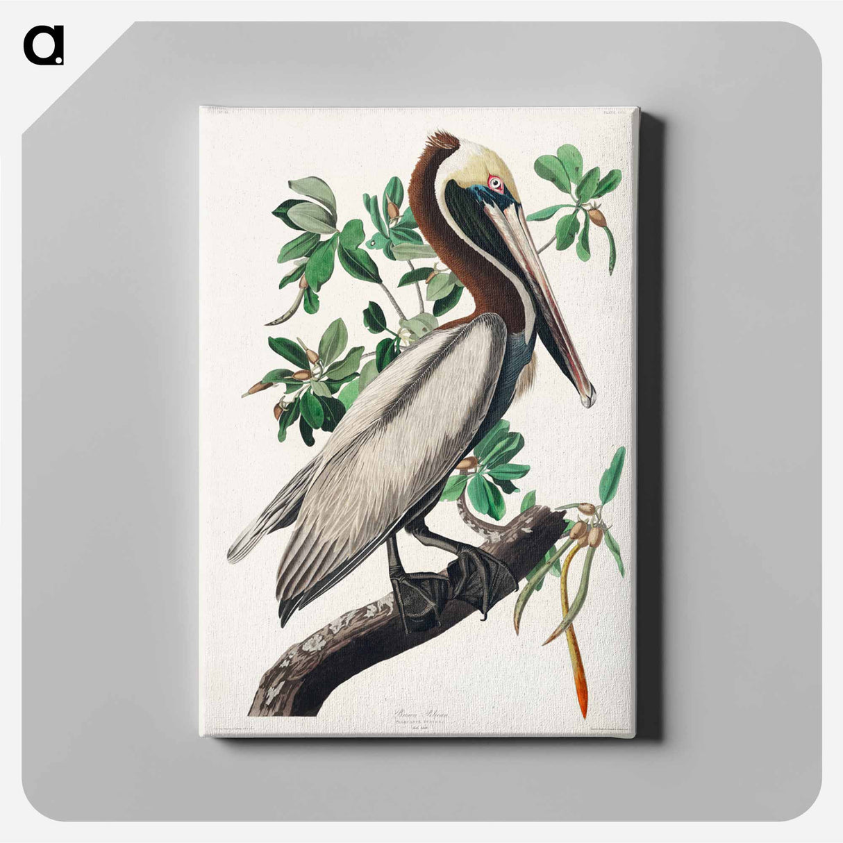 アートパネル-Brown Pelican
- ジョン ジェームス オーデュボン Canvas.