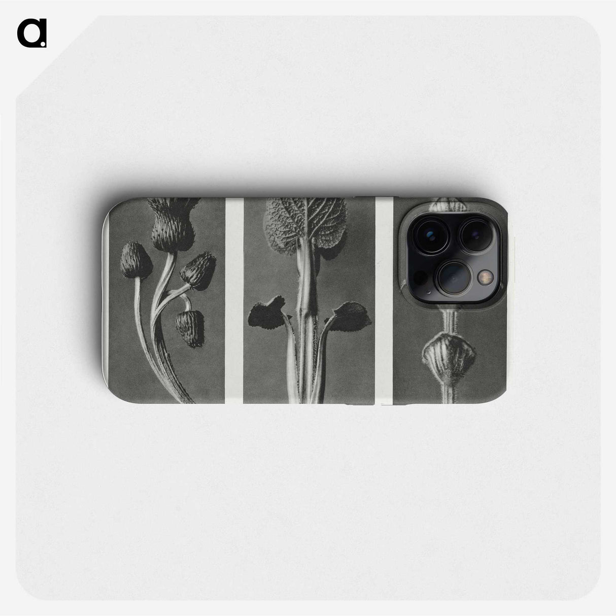 1-33_Karl-Blossfeldt_phone