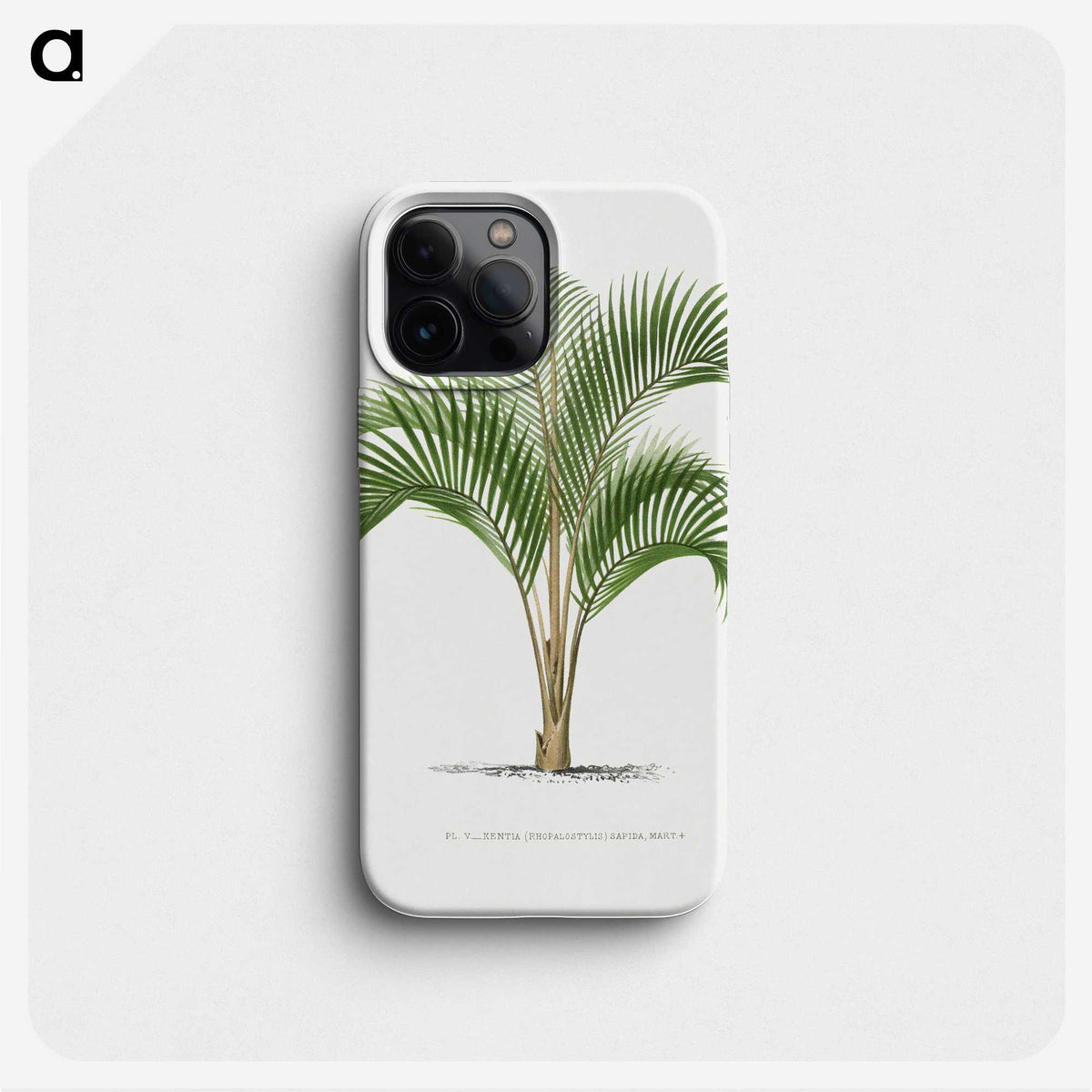 1-33_Les-Palmiers-Histoire-Iconographique_phone