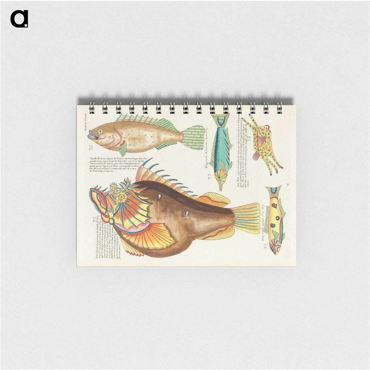 1-33_Louis-Renard_memo