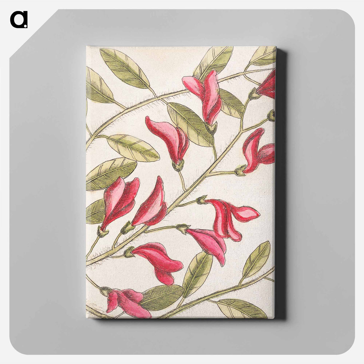 アートパネル-Sorrel Tree, Acacia, and Candle-berry Myrtle
- マーク ケイツビー Canvas.