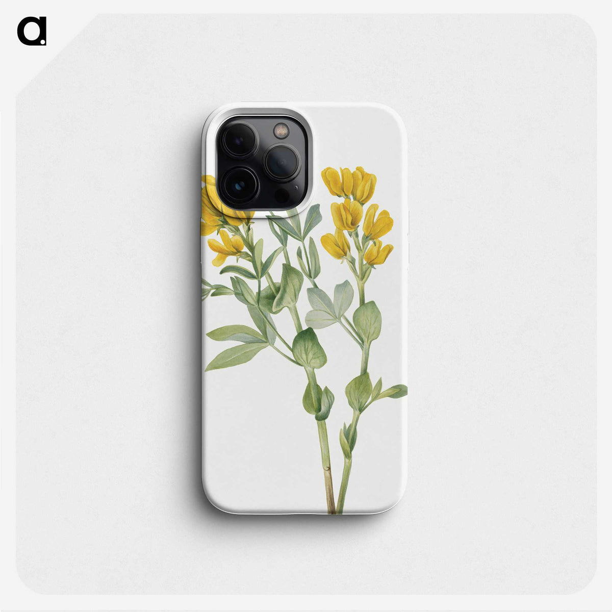 1-33_Mary-Vaux-Walcott_phone