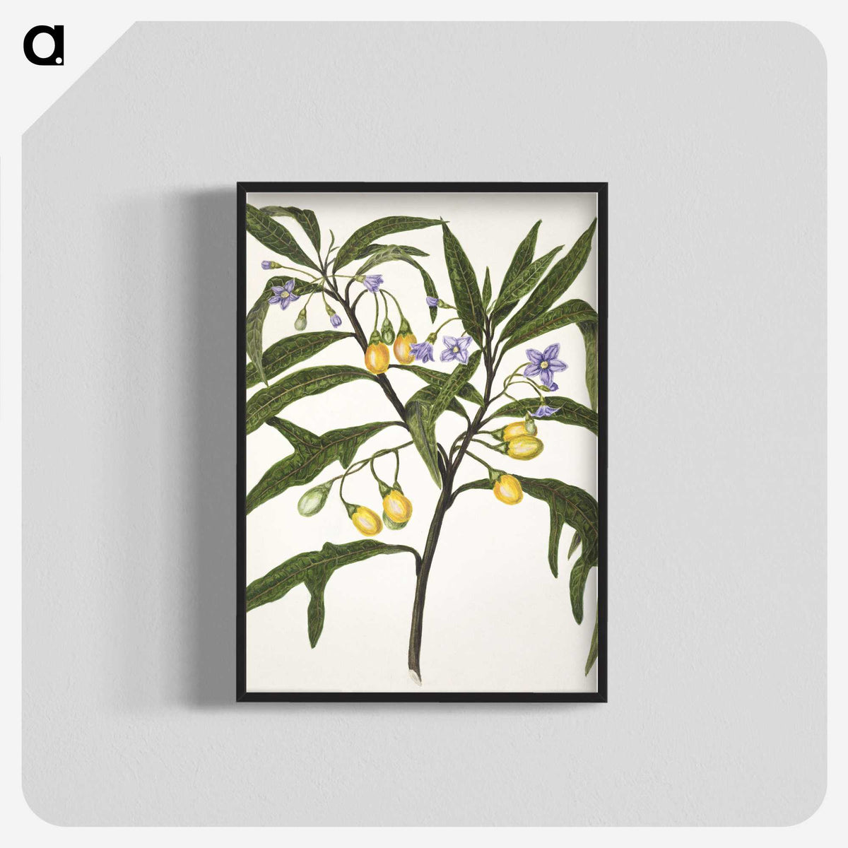 1-33_Native-Flowering-Plants-of-New-Zealand_blk-crop