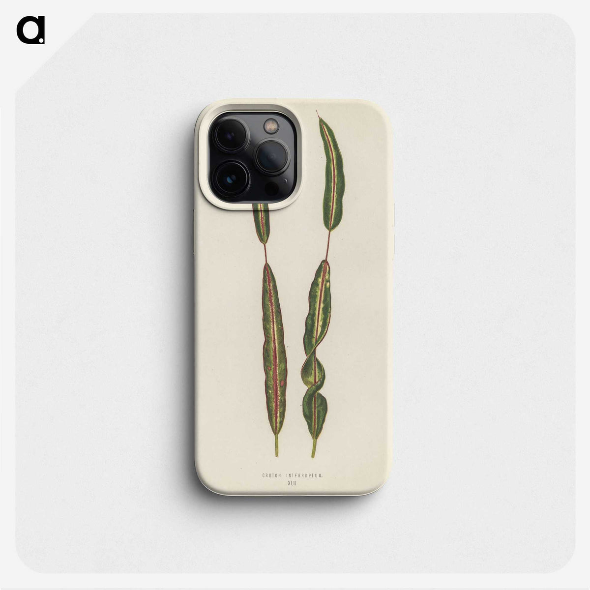 1-33_New-and-Rare-Beautiful-Leaved-Plants_phone
