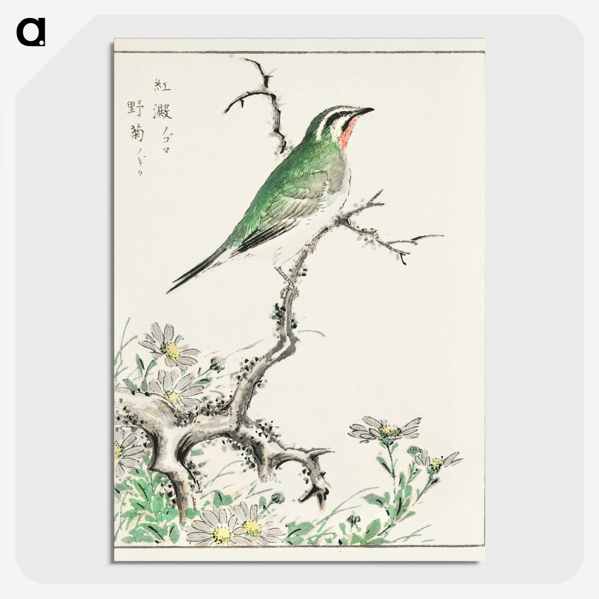 1-33_Pictorial-Monograph-of-Birds_picture-crop