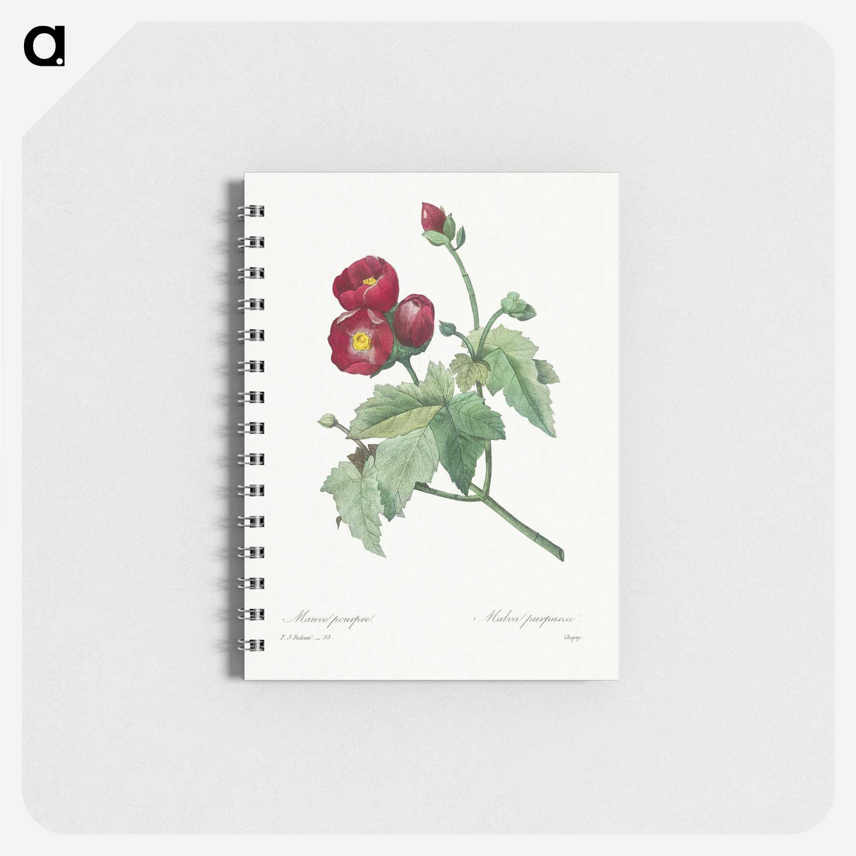 1-33_Pierre-Joseph-Redoute_memo