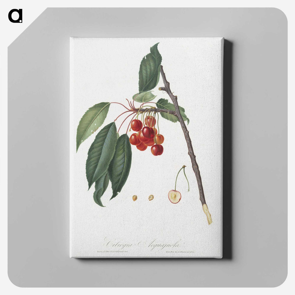 1-33_Pomona-Italiana_canvas