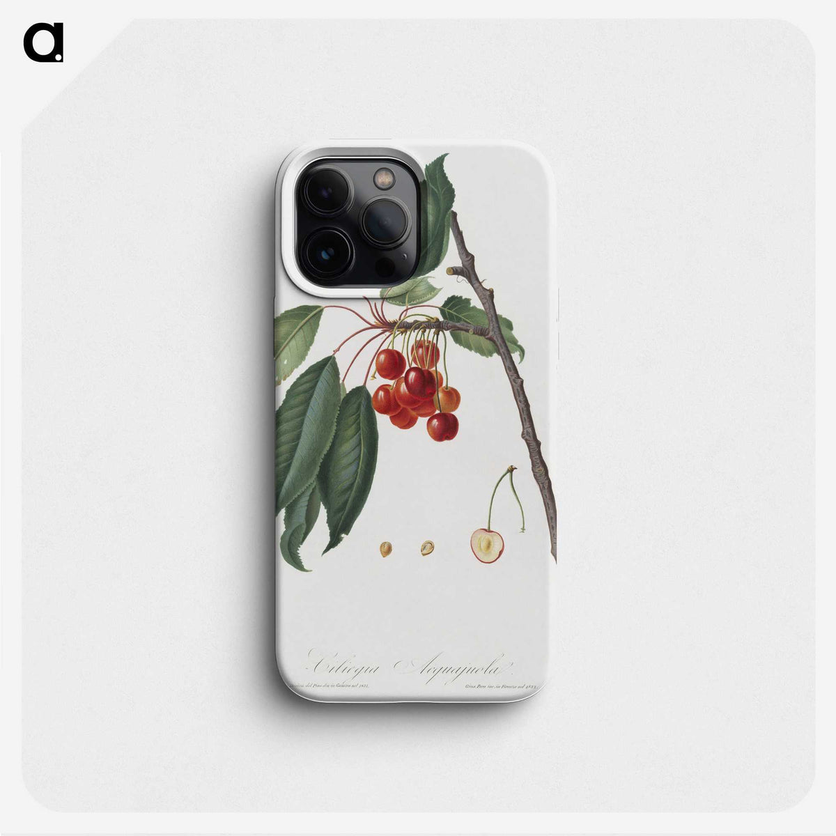 1-33_Pomona-Italiana_phone