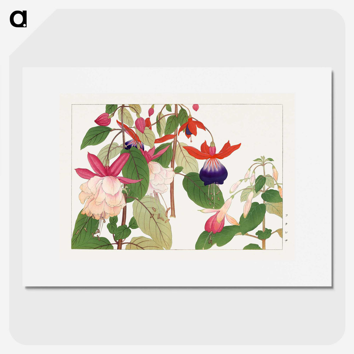 1-33_Seiyo-Soka-Zufu_picture