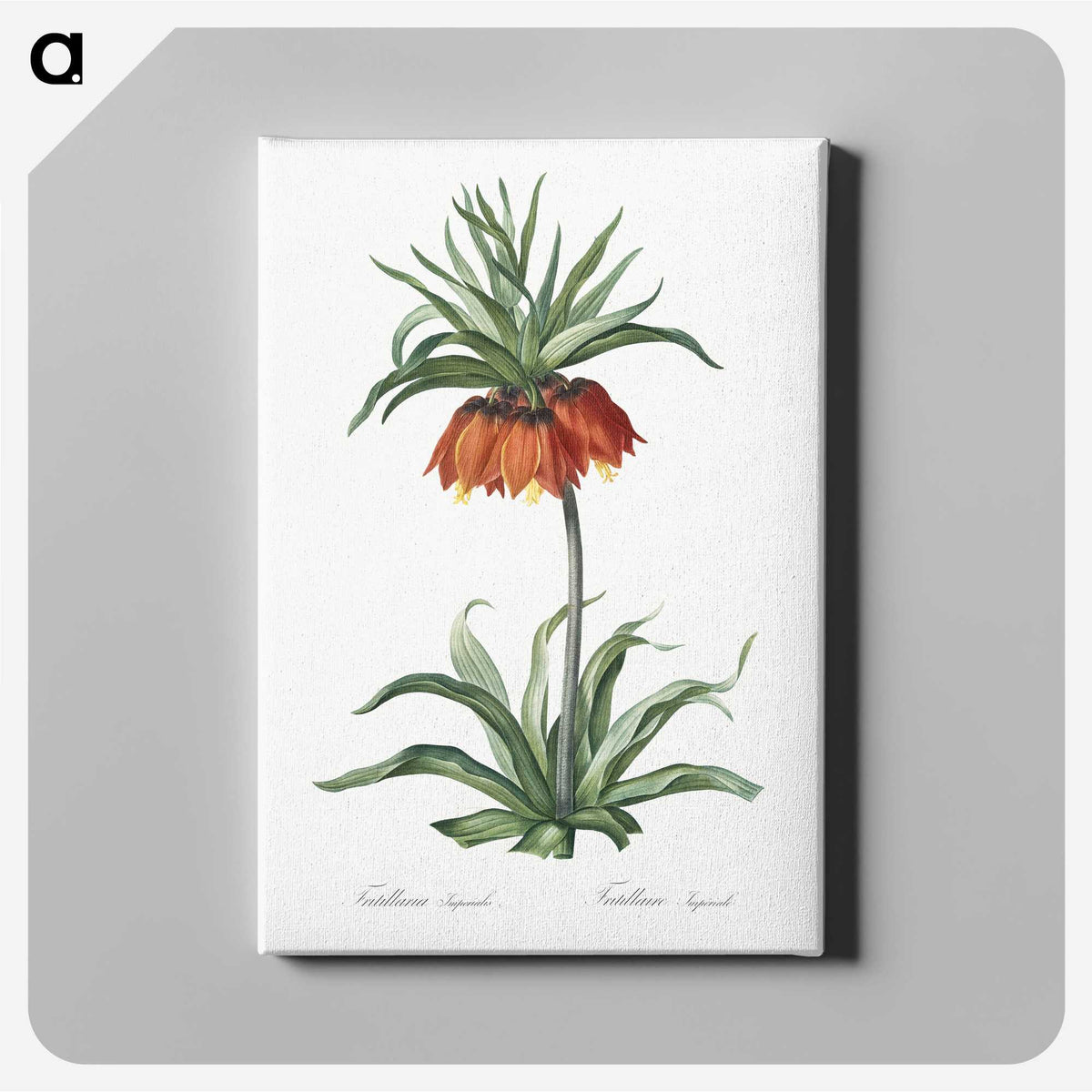 1-33_The-Lilies_canvas